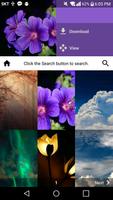 Cool wallpaper Downloader Screenshot 1