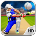 Cricket Cup
