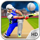 APK Cricket Cup