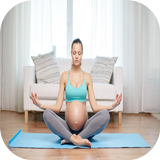 Pregnancy Exercise Video icono