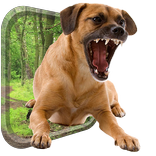 Dog Simulator 2018