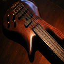 Learn to play bass guitar 7 aplikacja