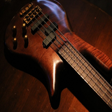 Learn to play bass guitar 7 icon