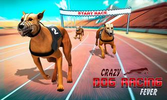 Wild Dog Racing tournament 3D Affiche