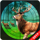 Jungle Deer Hunt Shooting APK