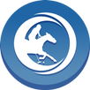 Asociación Argentina de Polo APK