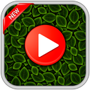 Graffiti Music Player APK