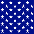 United States Constitution icon