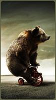 HD American Bear Wallpapers 截图 1