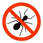 Anti Ant Repellent آئیکن