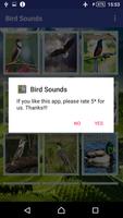 Call Bird Sounds capture d'écran 3