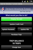 Detroit Windsor Tunnel Mobile Affiche