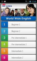 World Wide English Affiche