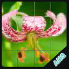 Slide Puzzles Beautiful Flowers-icoon