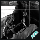 Slide Puzzles Horses آئیکن