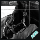 Slide Puzzles Horses icon
