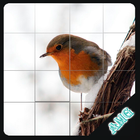 Slide Puzzles Nature Puzzles icon