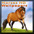 Horses HD Wallpapers 2