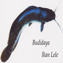 Budidaya Ikan Lele-APK