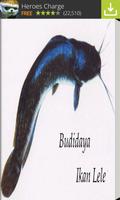 Budidaya Ikan Lele poster