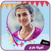 اغاني أمينة كرم بدون انترنت APK