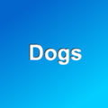 Dogs