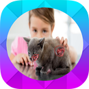 Cancer in Cats APK