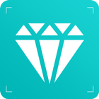 Photo Mixer Pro 圖標