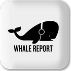 Whale Report icône