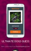 ULTIMATE DOGS GUESS 스크린샷 1