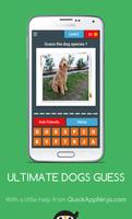 ULTIMATE DOGS GUESS 스크린샷 2
