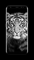Tiger - AMOLED Wallpaper for lock screen 스크린샷 1