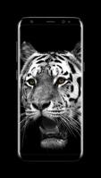 Tiger - AMOLED Wallpaper for lock screen ภาพหน้าจอ 3