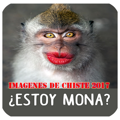 Imágenes memes