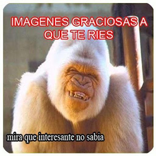 Imagenes graciosas 2017