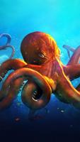 Animals.Octopus.Live wallpaper Affiche