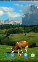 Cow. Live wallpaper. تصوير الشاشة 2