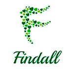Findall icône