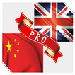 English Chinese Dictionary Pro