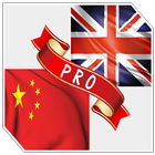English Chinese Dictionary Pro Zeichen