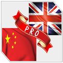 English Chinese Dictionary Pro APK