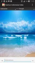 India Indonesian Complete Dict APK download