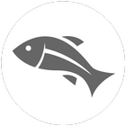 Icona Fish Feeder