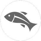 Fish Feeder icon