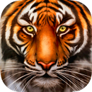 Wild Tiger Survival - Animal Simulator APK