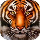 Wild Tiger Survival - Animal Simulator icône