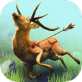 Archery: Animals Hunter
