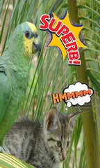 Comic – photo stickers APK download