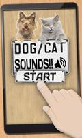 Dog Barking Sounds poster