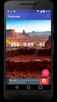 Pedometer Screenshot 2